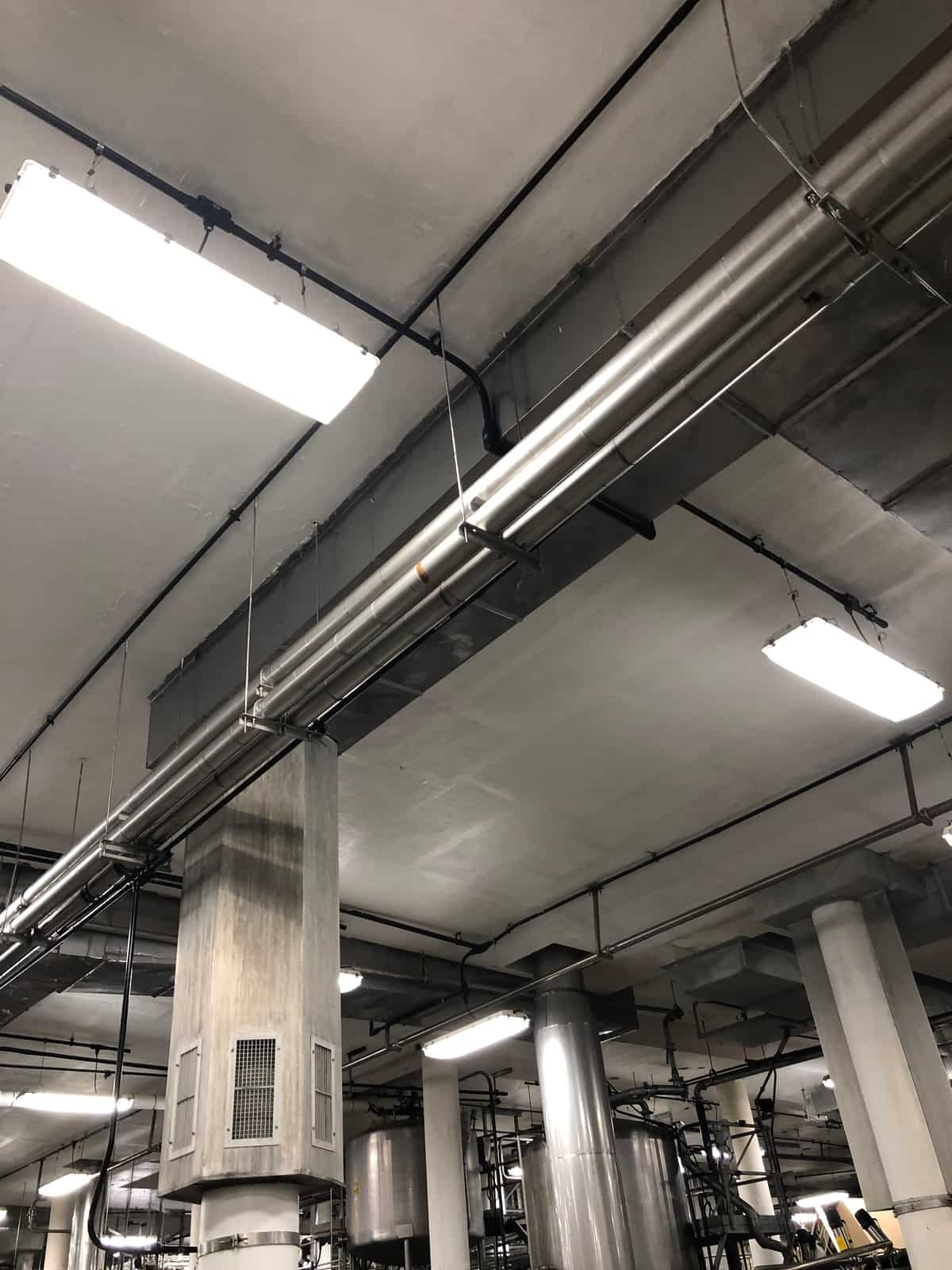 Plant ceiling with concrete beams, columns and ducts above production space.