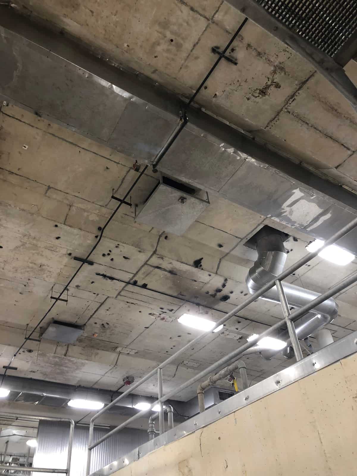 Board-formed slab soffit with drilled holes, ductwork and lights in a plant.