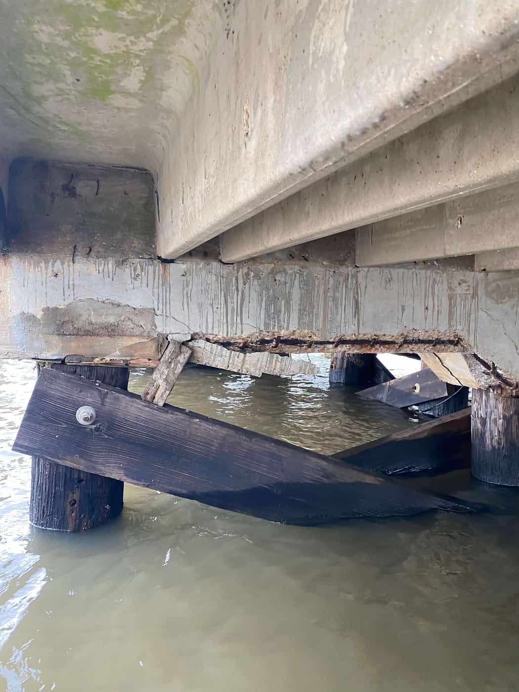 Deteriorated concrete pile cap on timber piles under a pier deck over water.